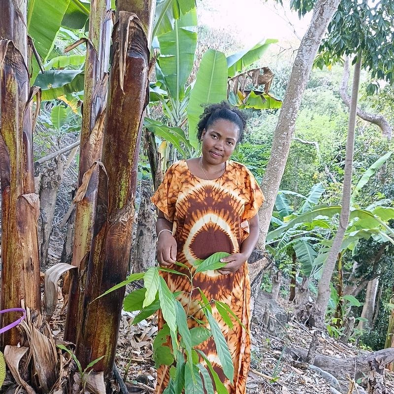 Plantez un cacaoyer à Nosy Komba